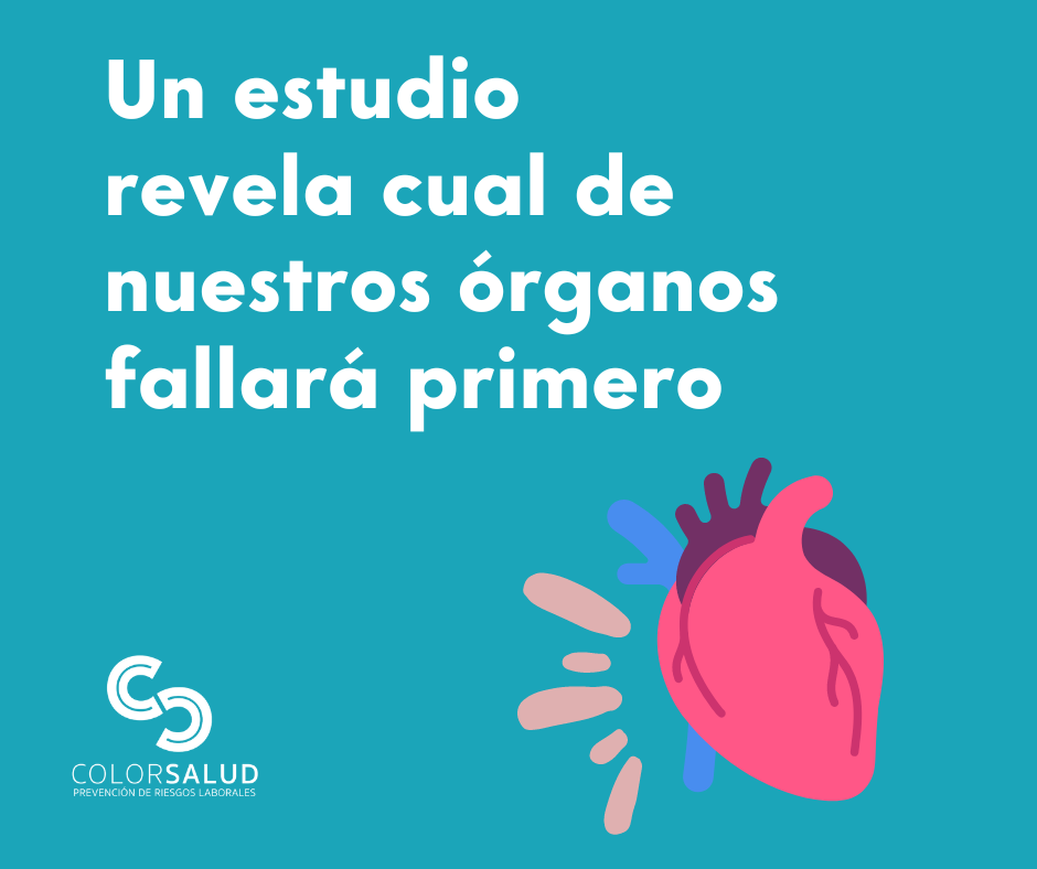 Un estudio revela cual de nuestros órganos fallará primero